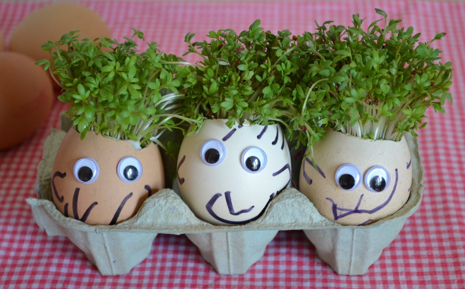 cress heads in egg shells