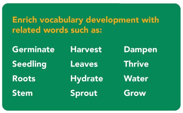 Cress Head Vocabulary