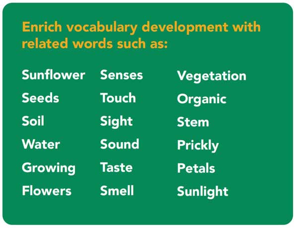 Growing Sunflowers Vocabulary