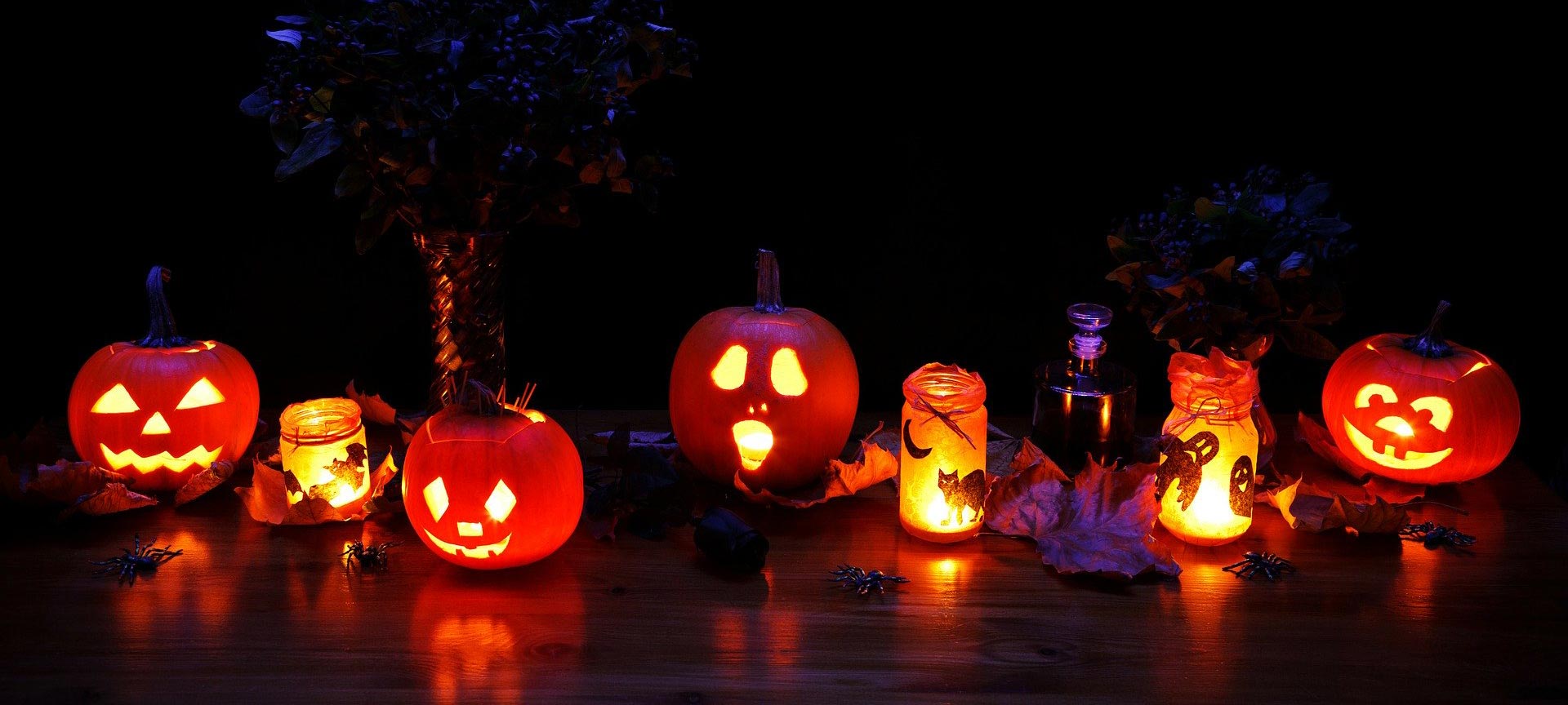 Pumpkin Patch: Ideas for pumpkin carving, decorating and eating!