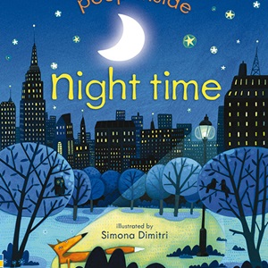 Night Time by Anna Milbourne and Simona Dimitri