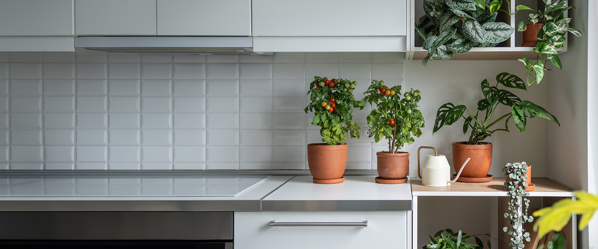 Growing vegetables indoors