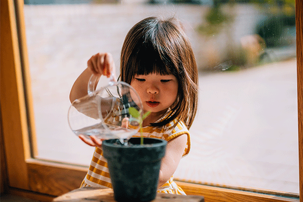 Future Earth Activity 1  Growing Your Beans