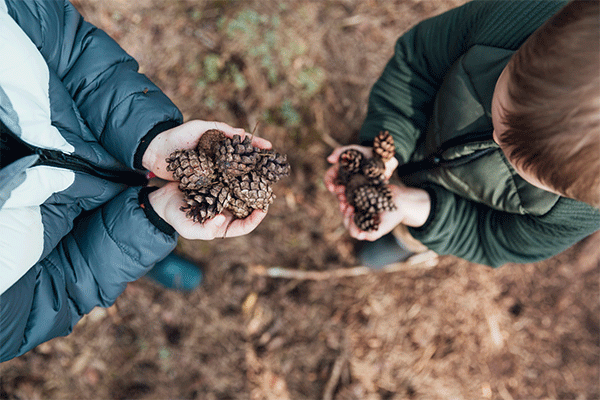 Creating a Pinecone Bird Feeder