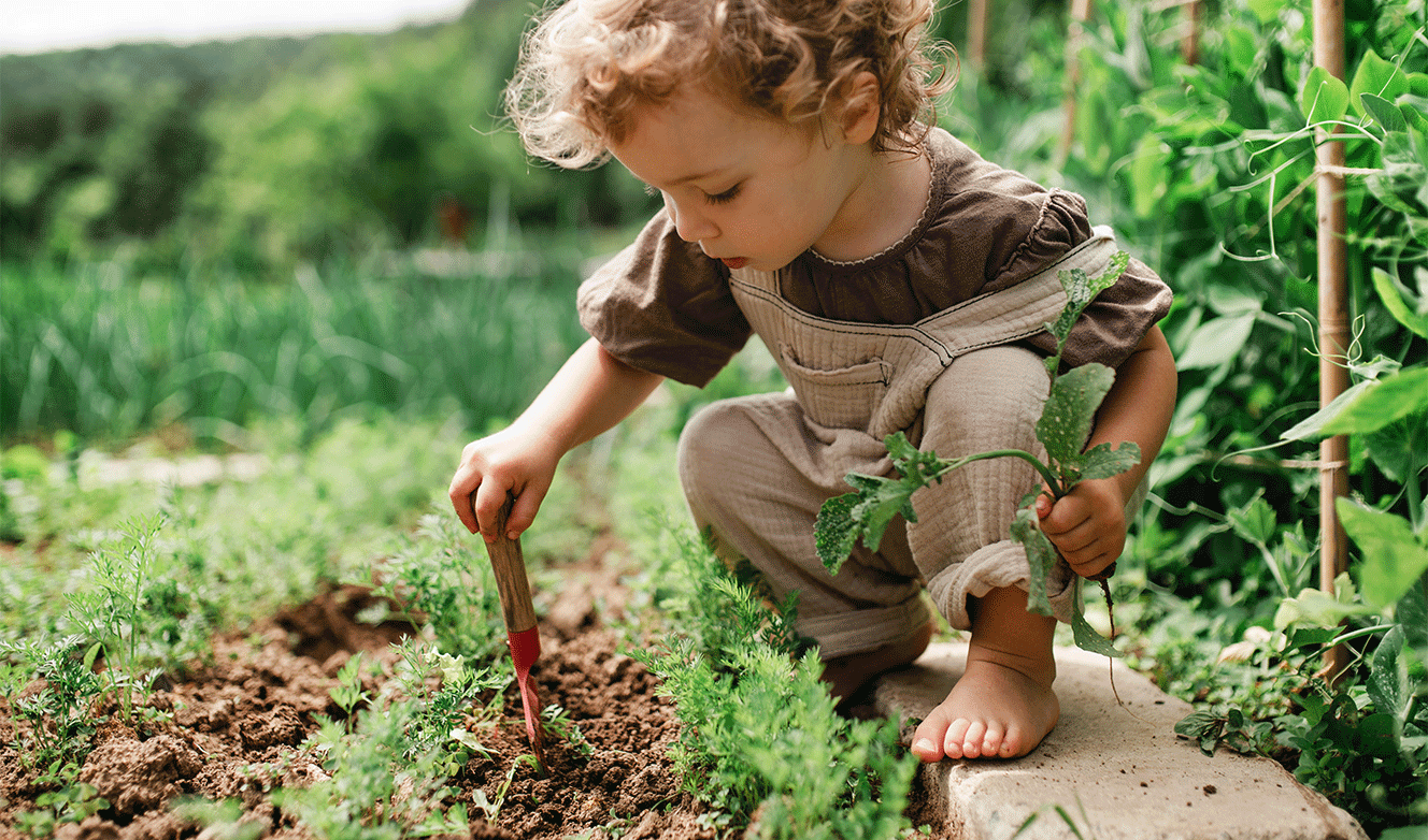 Plant Your Pants: A Fun Way to Check Soil Health