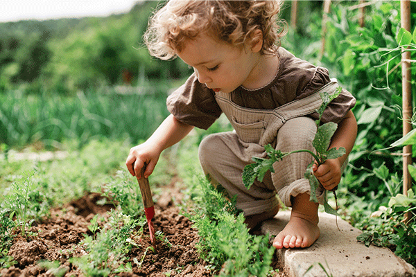 Plant Your Pants: A Fun Way to Check Soil Health