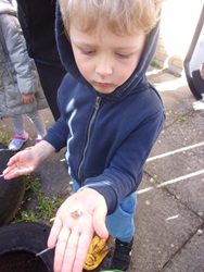 A preschool child shows us his carrot seeds