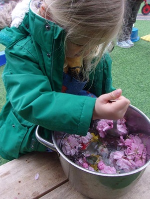 A preschool child creates her own perfume with colourful flowers from the garden
