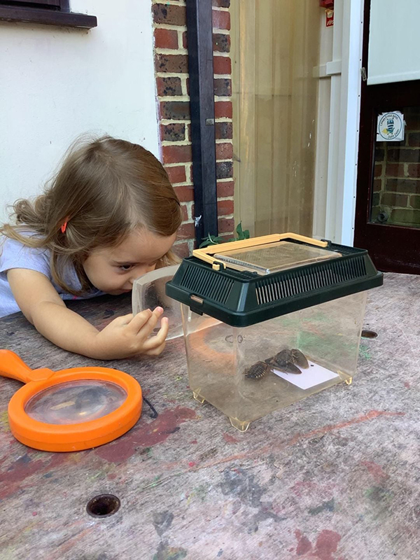 Bracknell nursery children take interest in bugs