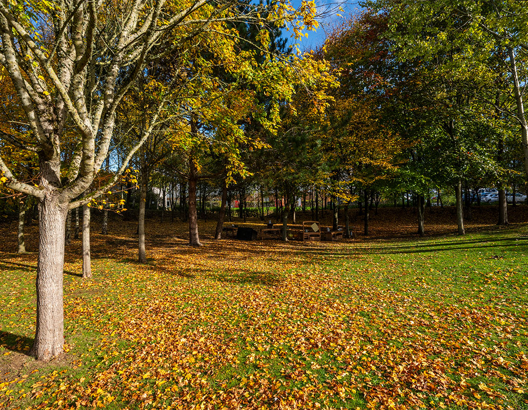 Dandelions Day Nursery and Preschool