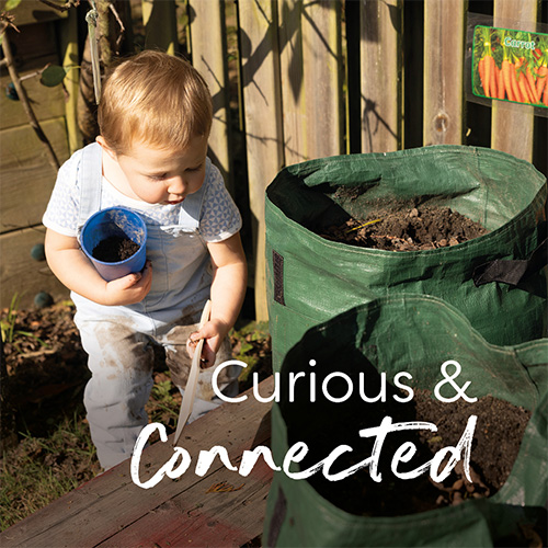 Curious and Connected