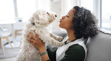 Pet Care Solutions Support Employees