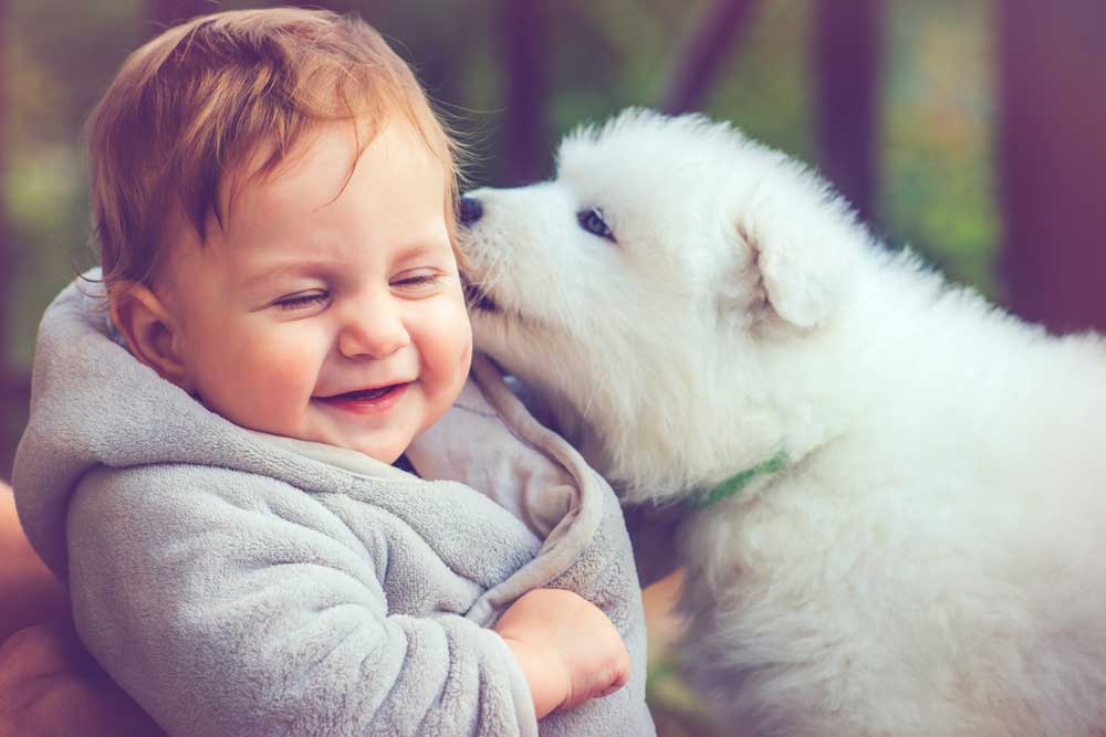 A baby getting a kiss on the cheek by a pupper