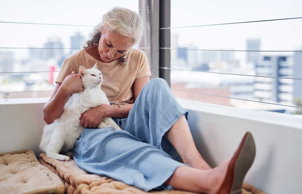 A mature lady sits on a window seat with her white cat