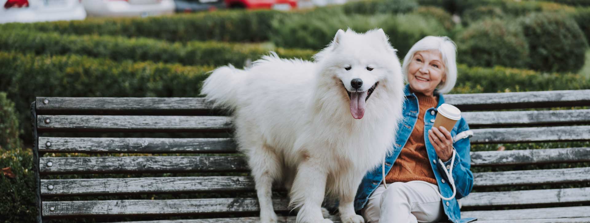 An older lady sits on a bench in the park with her large dog