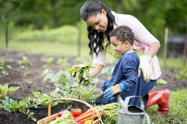 7 Activities to Help Children Develop Healthy Habits