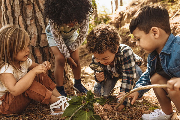 Summer Outdoor Explorations: Nature-Based Learning Activities for Young Children