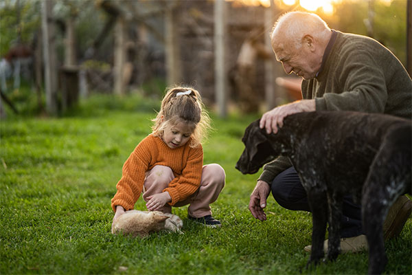 The Pet Effect: Exploring the Benefits of Pets for the Whole Family