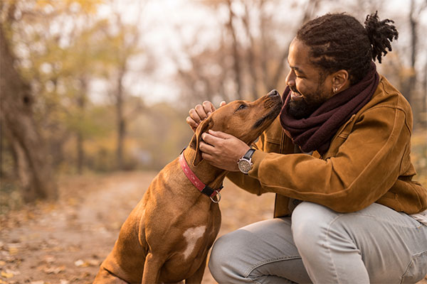 5 Ways Pets Can Enhance Emotional Wellbeing