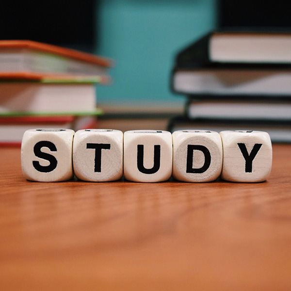 Bright Horizons Work+Family Solutions Resources - Case Studies